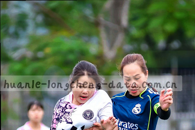 两组资料卡片并列叠放，标签条露出一角，画面接近灰阶